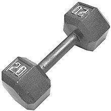 20lb hex dumbbell